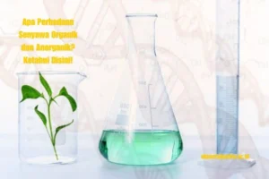 Apa-Perbedaan-Senyawa-Organik-dan-Anorganik