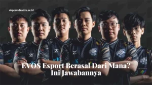 EVOS-Esport-Berasal-Dari